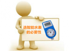 典型水表代表品--IC卡预付费水表