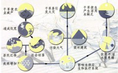 当水按克卖的时候  你该怎么办？