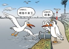 北京凉水河下游污染严重