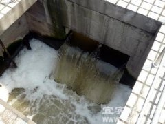 污水处理厂，何以成了“排污大户”?