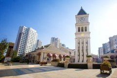 热烈祝贺慧怡中标南昌博泰生命树项目