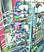 听说过“水表树”吗？