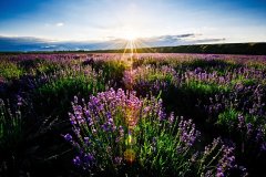 慧怡水表公司与新疆伊犁清水结缘