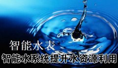 自贡市结合水表等工具多举并措强化水资源保护