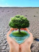 喀麦隆将在雅温得举办第二届水资源与能源论坛