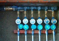 男子借查水表为由入室抢劫