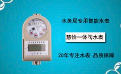 旋翼式预付费水表与螺翼式预付费水表有何区别
