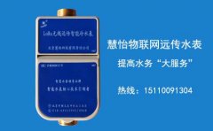 棚户区改造尝鲜智能水表远程抄表