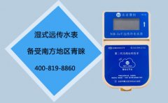湿式远传水表备受南方地区喜爱