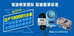 IC卡智能水表(防水型)农村农饮水案例