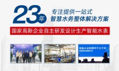 远程水表厂家排名