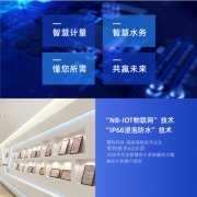 祝贺慧怡中标镇原县农村安饮NB水表300万项目