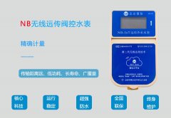 远传智能水表生产厂家标杆企业