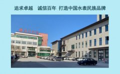 水表十大品牌(厂家)排行榜预览