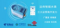 远传智能水表 三大运营商齐发力