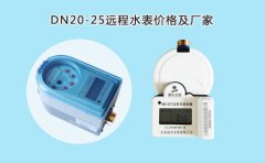 远程水表价格(DN15、20、25、32、DN50)